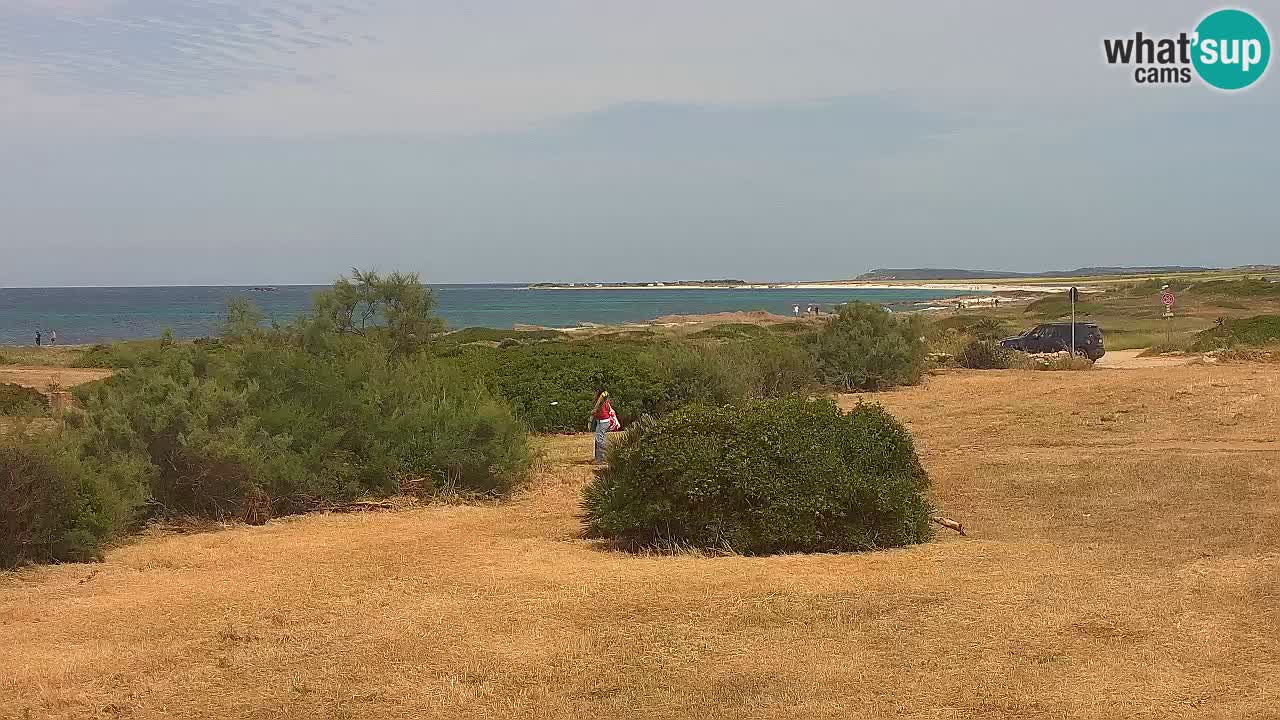 Mari Ermi beach | Is Arutas – Oristano
