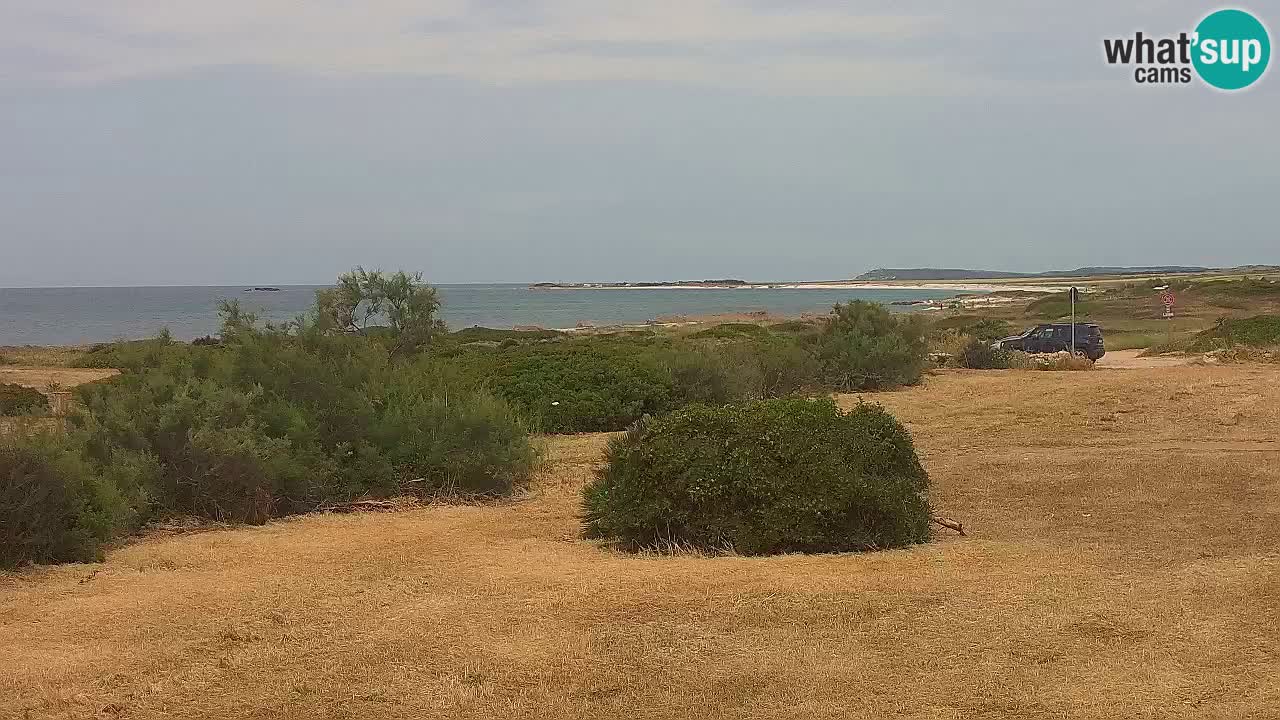 Playa Mari Ermi | Is Arutas – Oristano