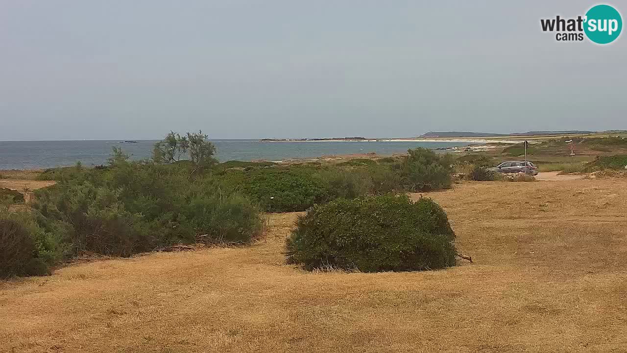Playa Mari Ermi | Is Arutas – Oristano