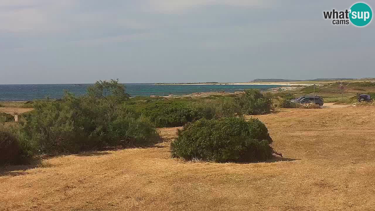 Spiaggia Mari Ermi | Is Arutas – Oristano
