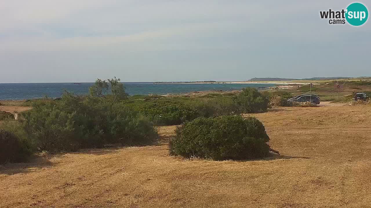 Plage Mari Ermi | Is Arutas – Oristano