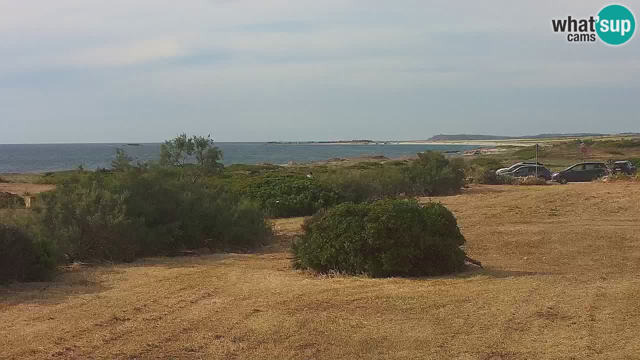 Mari Ermi beach | Is Arutas – Oristano