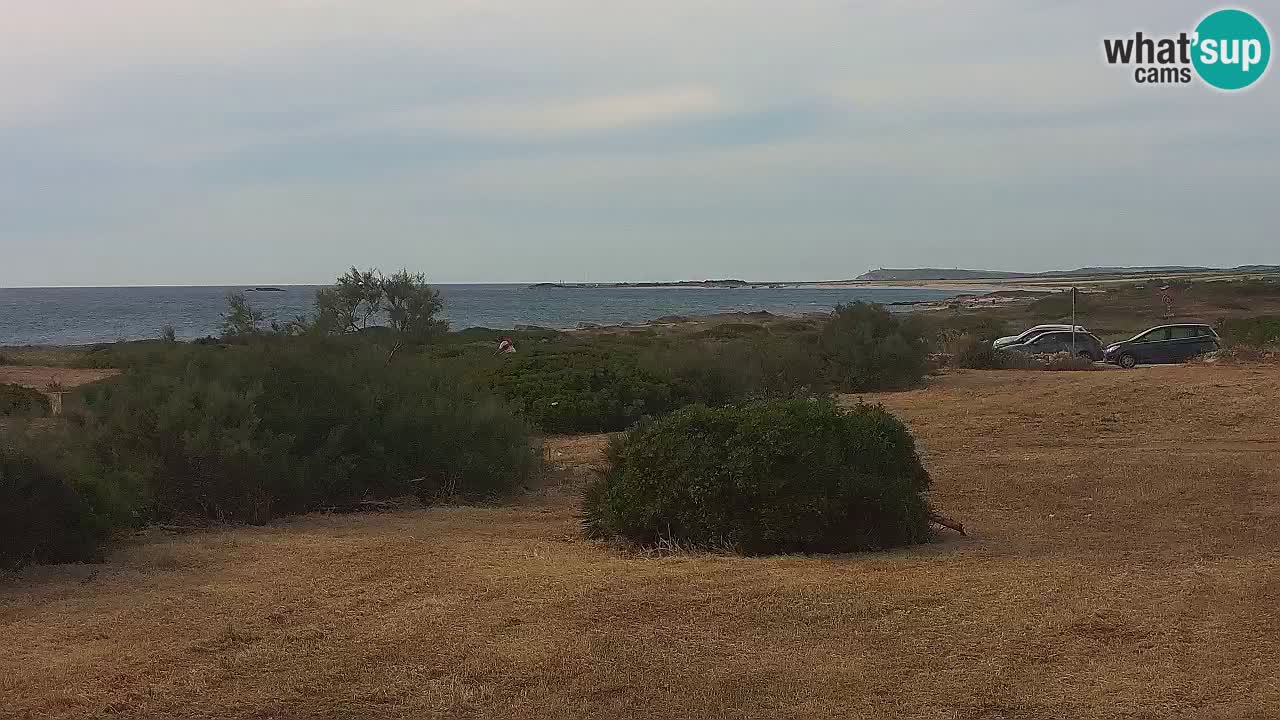Mari Ermi Strand | Is Arutas – Oristano