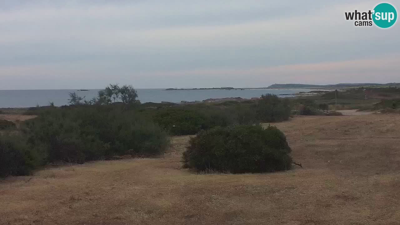 Plaža Mari Ermi | Is Arutas – Oristano
