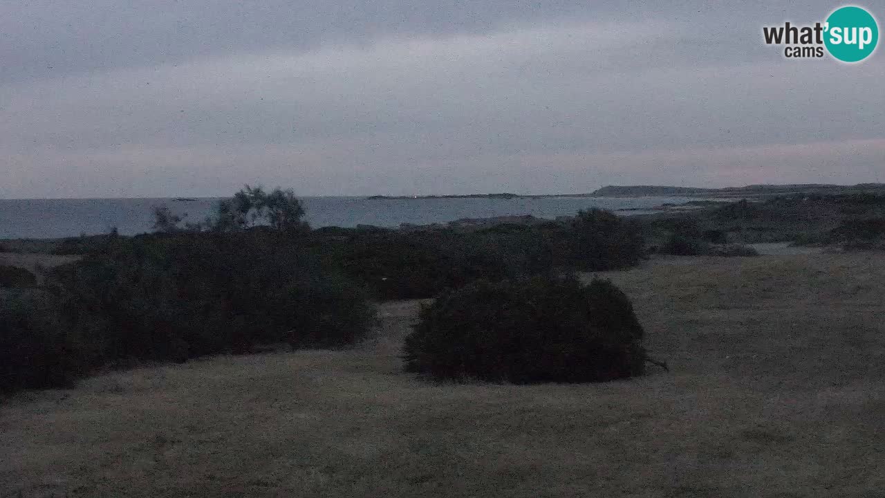 Plaža Mari Ermi | Is Arutas – Oristano