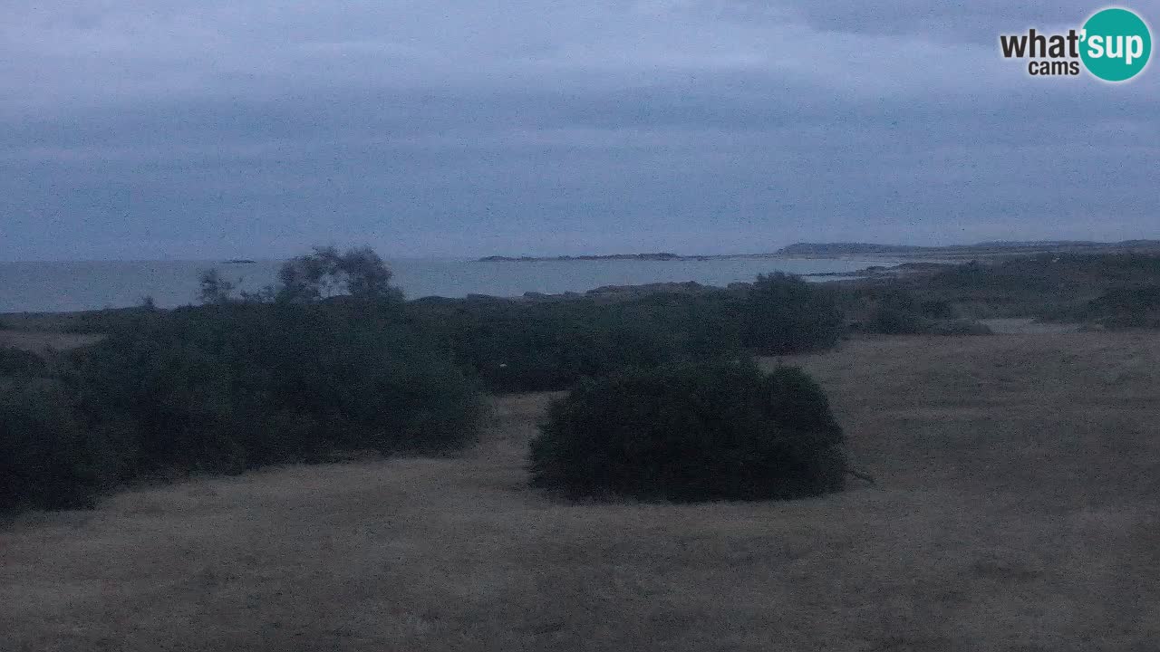 Playa Mari Ermi | Is Arutas – Oristano