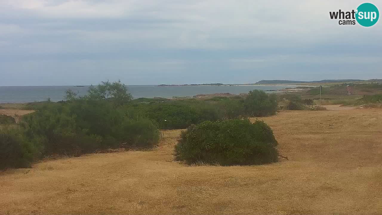 Mari Ermi Strand | Is Arutas – Oristano