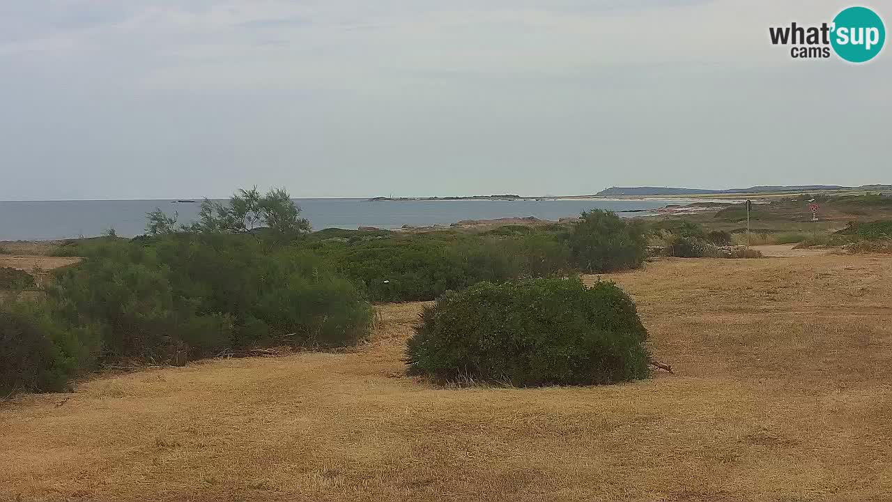 Spiaggia Mari Ermi | Is Arutas – Oristano
