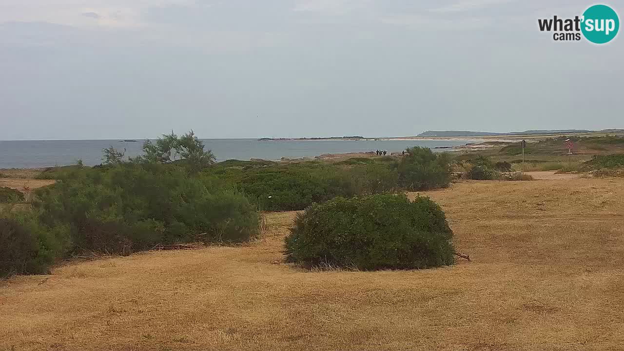 Playa Mari Ermi | Is Arutas – Oristano