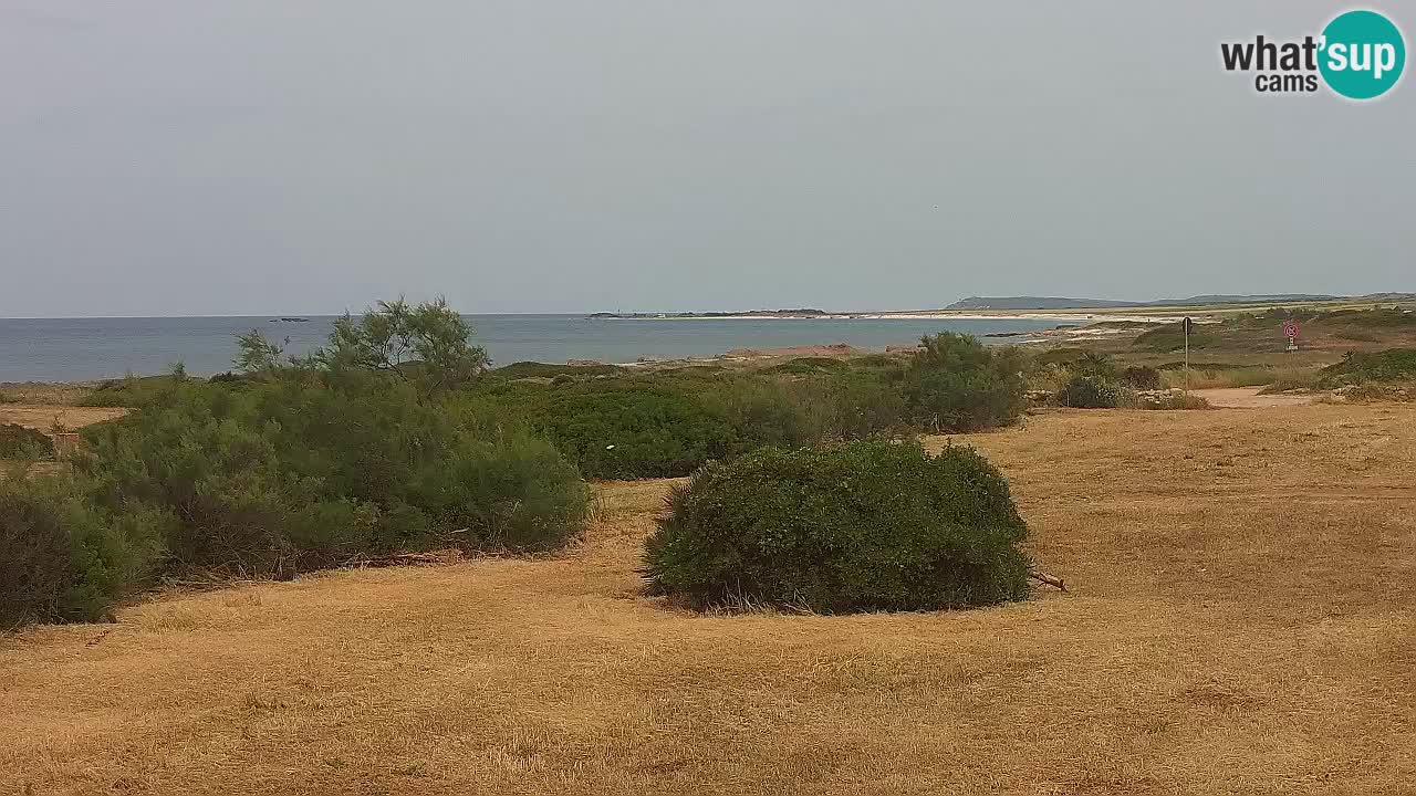 Playa Mari Ermi | Is Arutas – Oristano