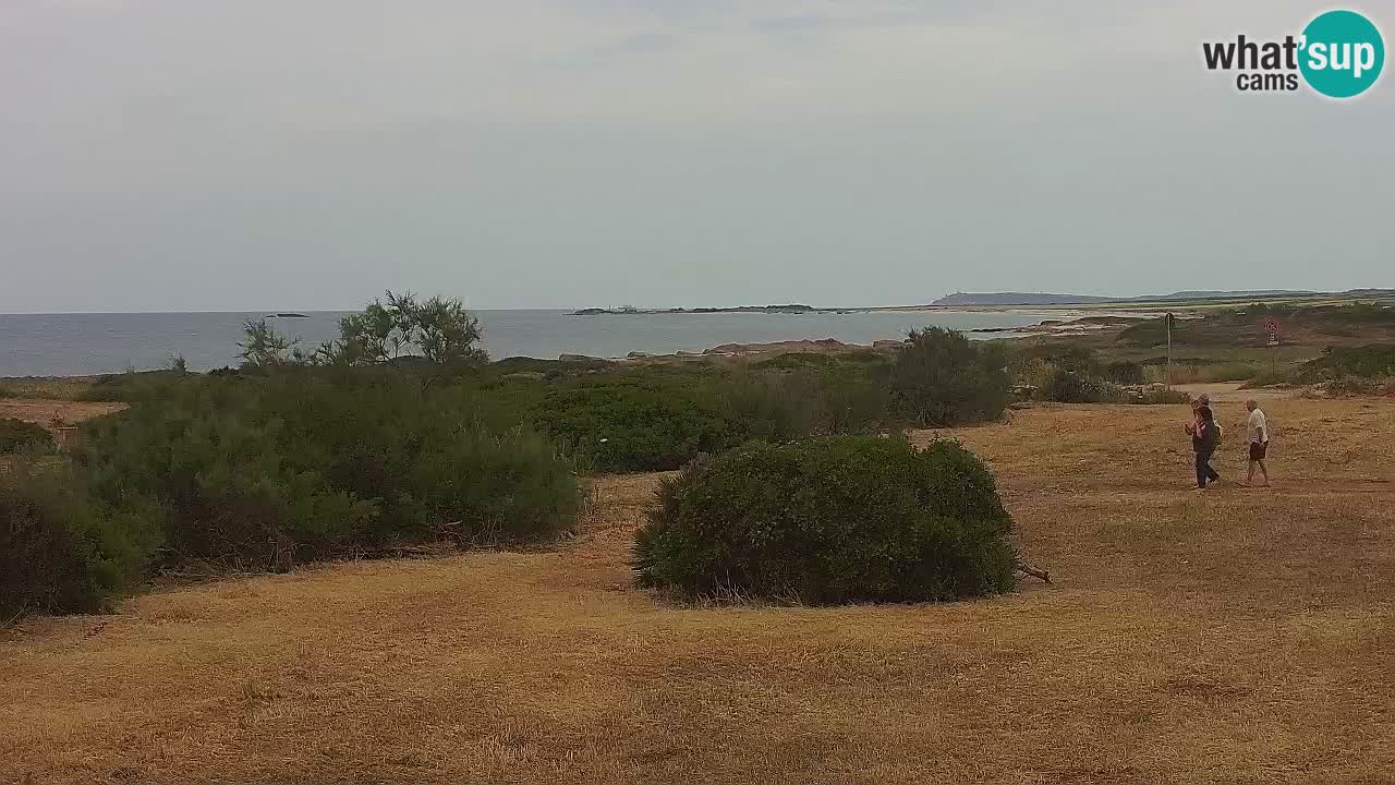 Spiaggia Mari Ermi | Is Arutas – Oristano
