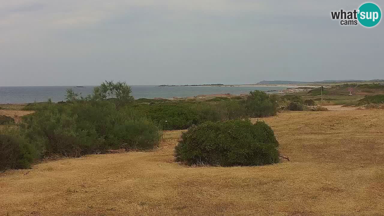 Playa Mari Ermi | Is Arutas – Oristano