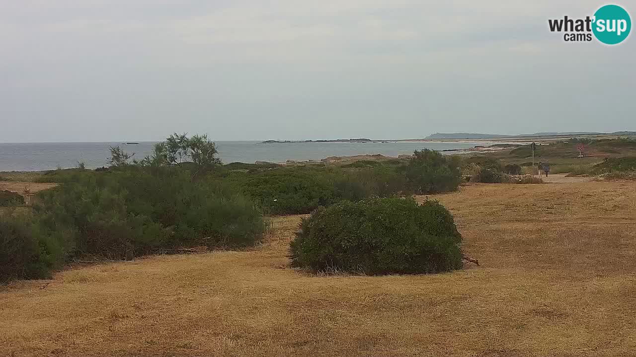 Spiaggia Mari Ermi | Is Arutas – Oristano