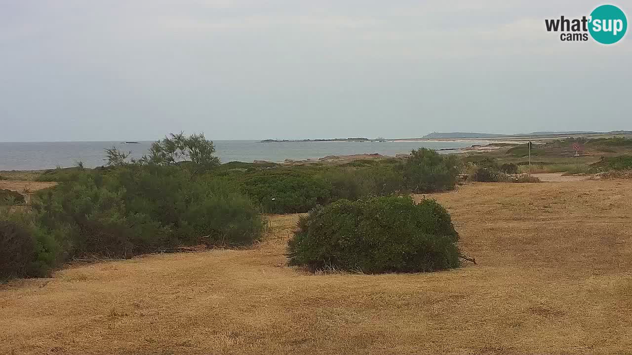 Plaža Mari Ermi | Is Arutas – Oristano