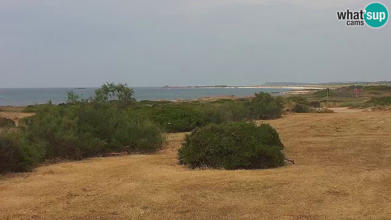 Playa Mari Ermi | Is Arutas – Oristano