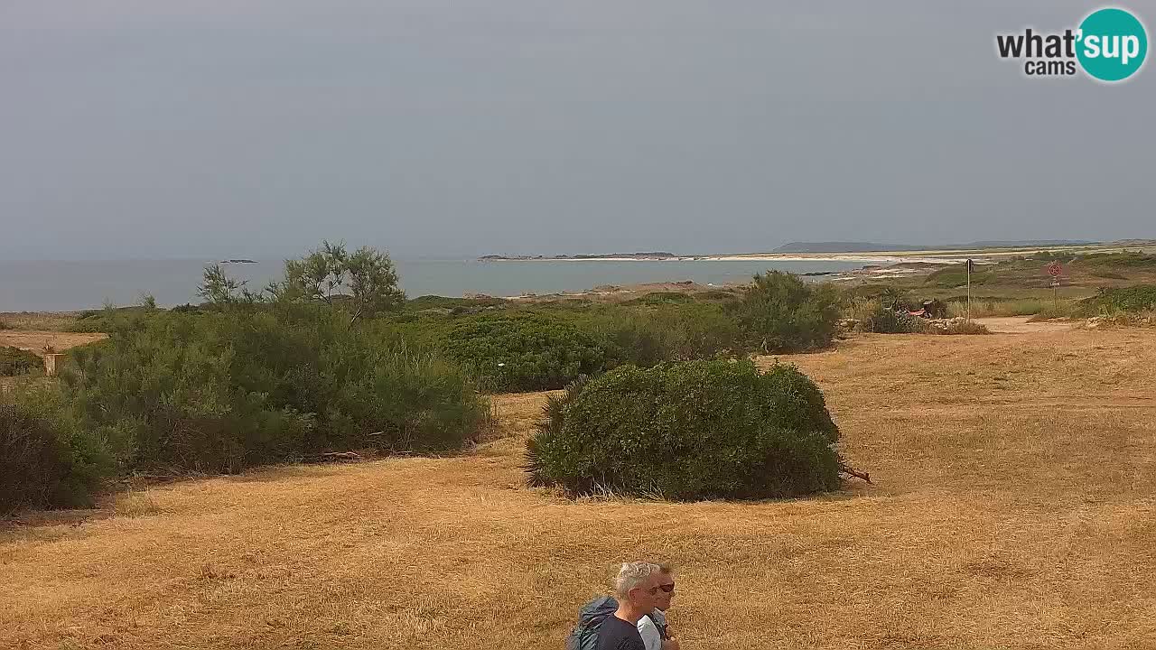 Plage Mari Ermi | Is Arutas – Oristano