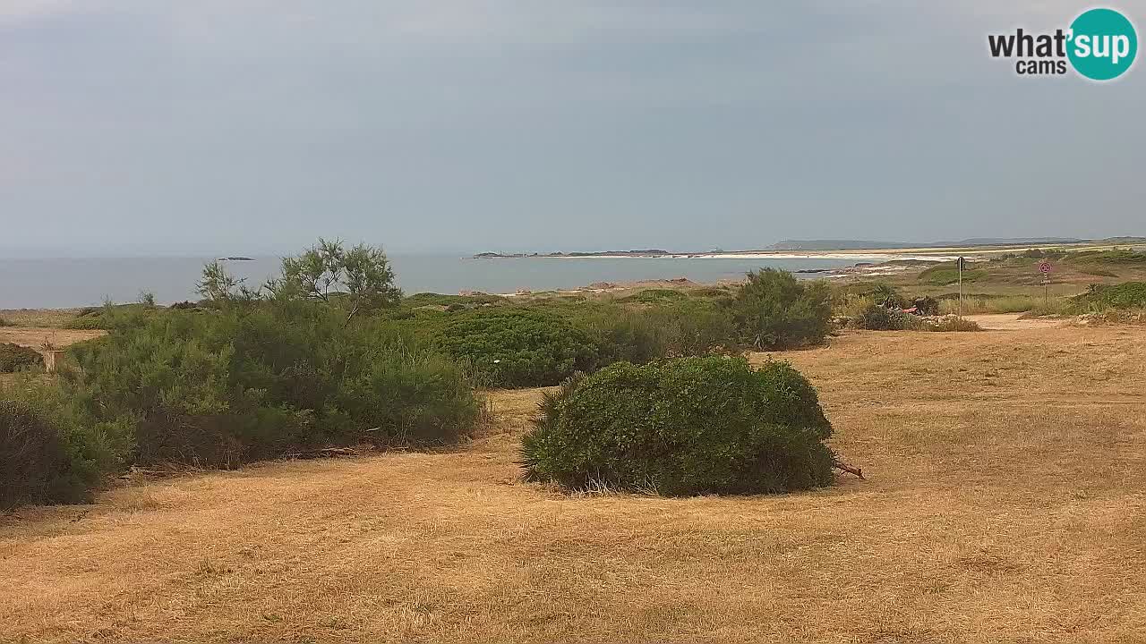 Mari Ermi Strand | Is Arutas – Oristano