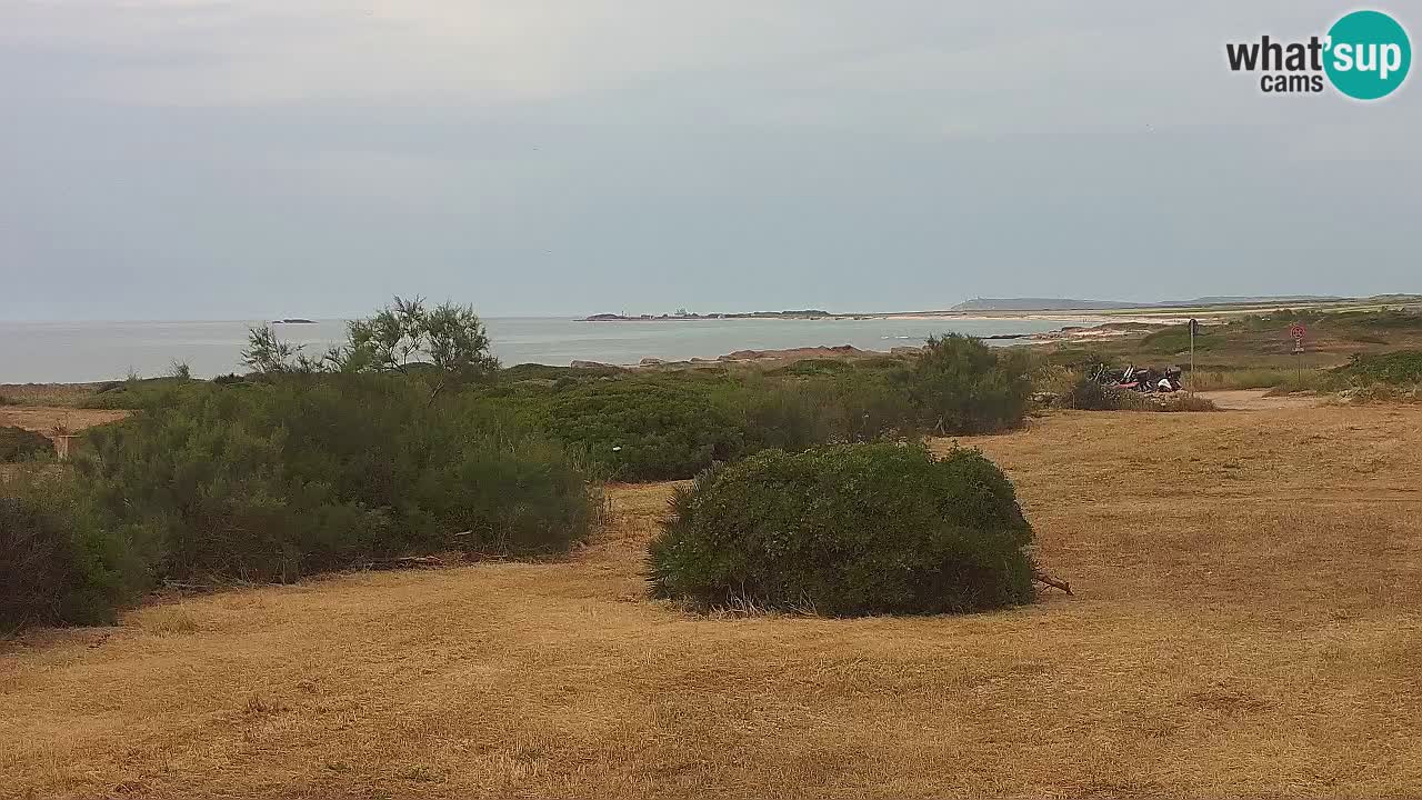 Playa Mari Ermi | Is Arutas – Oristano