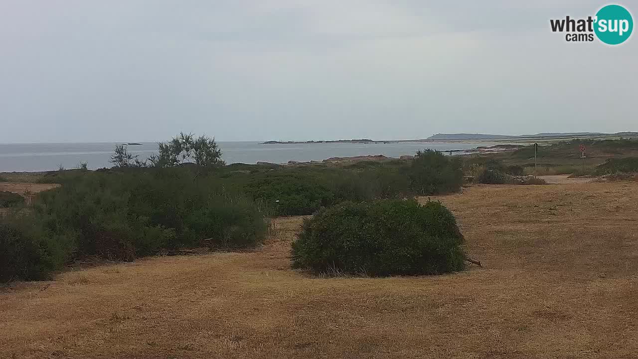 Plaža Mari Ermi | Is Arutas – Oristano