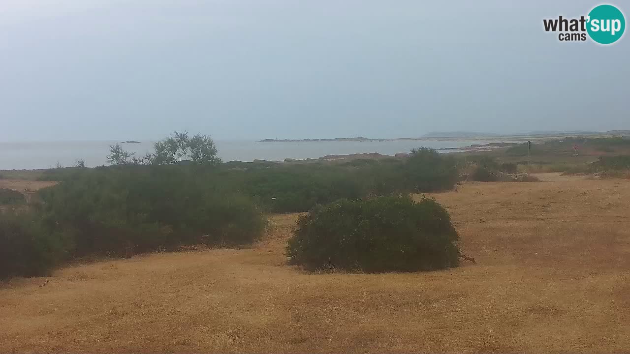 Mari Ermi beach | Is Arutas – Oristano