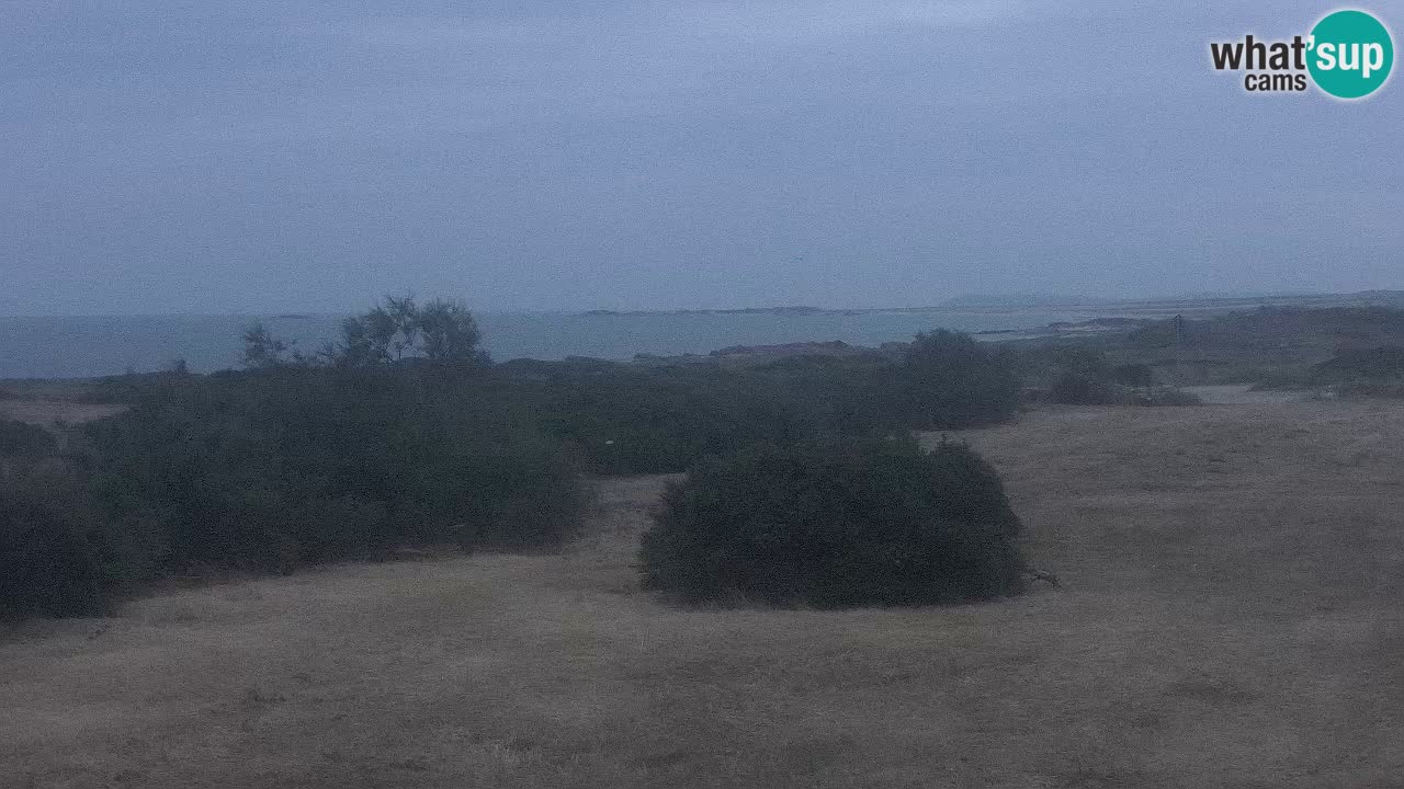 Plaža Mari Ermi | Is Arutas – Oristano