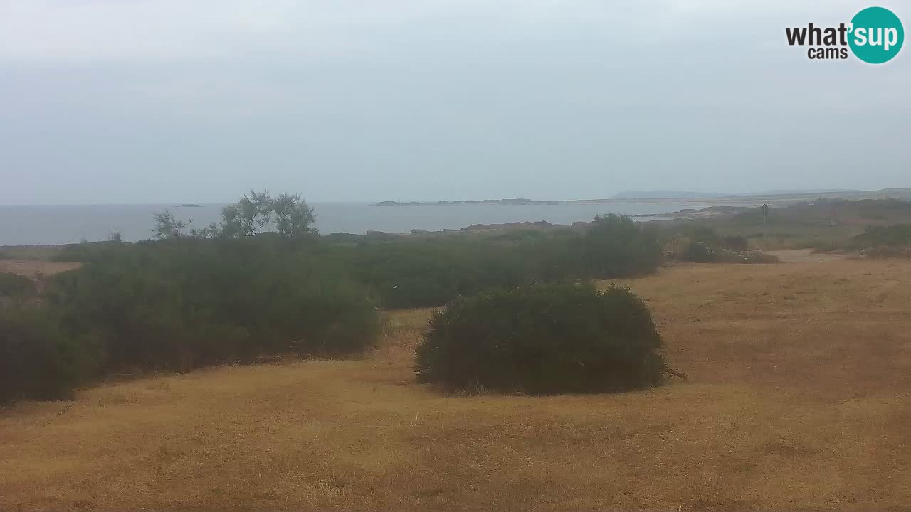Plaža Mari Ermi | Is Arutas – Oristano