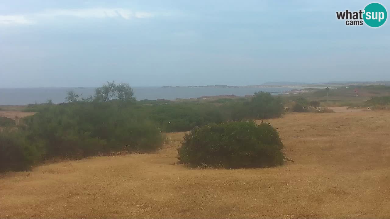 Plage Mari Ermi | Is Arutas – Oristano