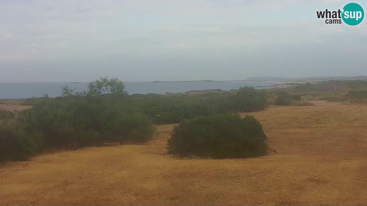 Plaža Mari Ermi | Is Arutas – Oristano