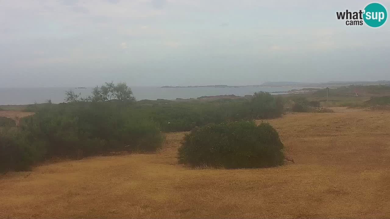 Mari Ermi beach | Is Arutas – Oristano