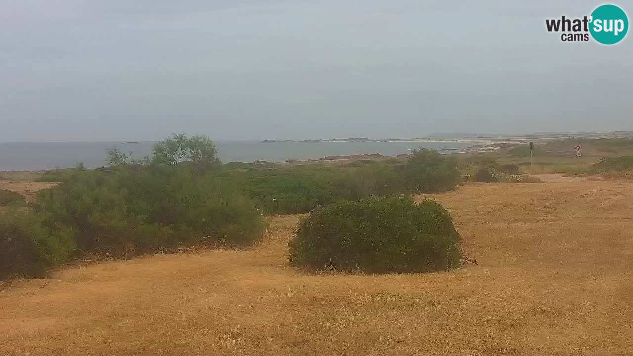 Plage Mari Ermi | Is Arutas – Oristano