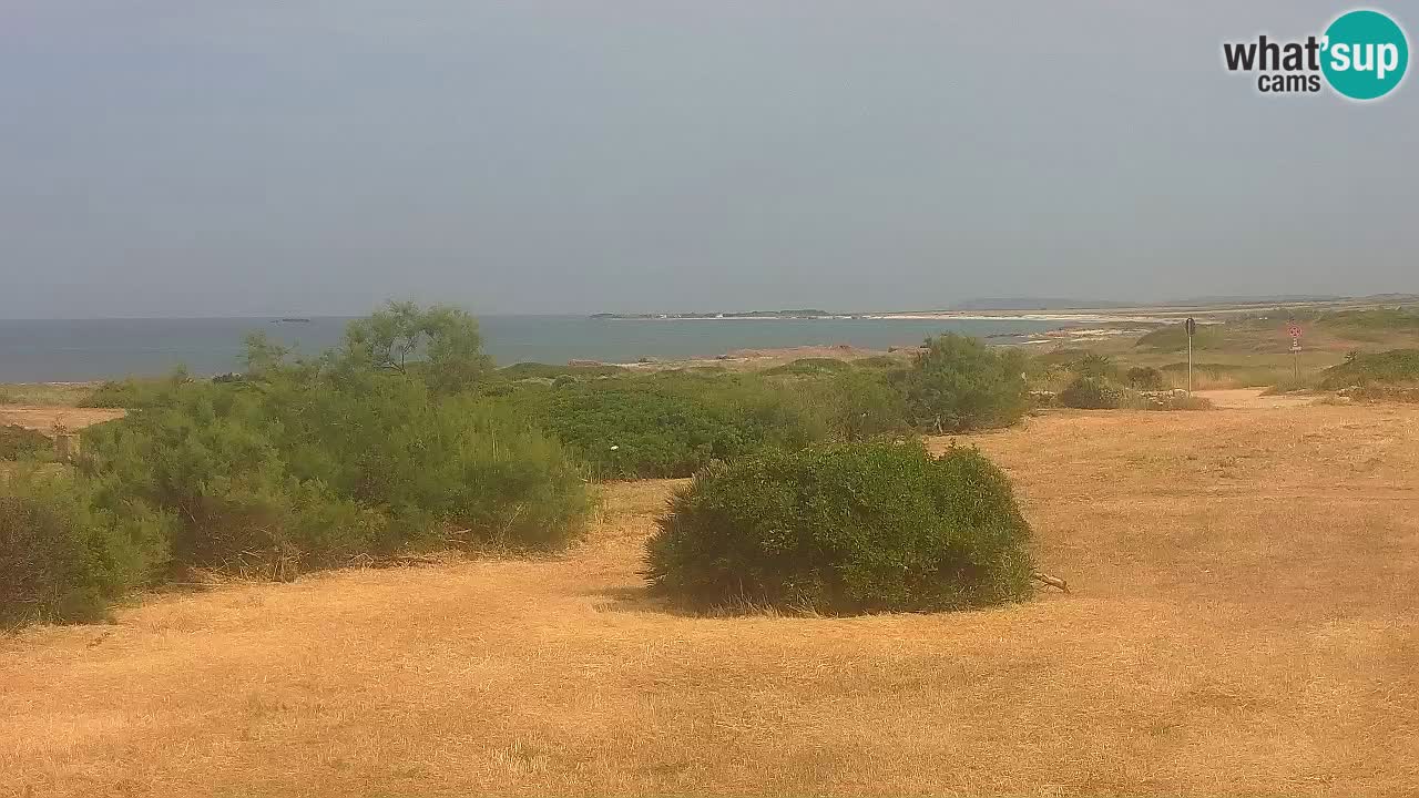 Plaža Mari Ermi | Is Arutas – Oristano
