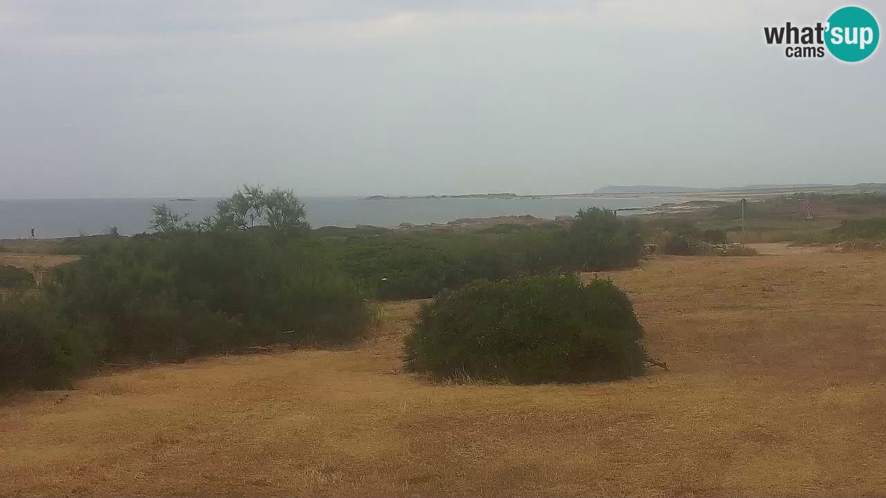 Mari Ermi Strand | Is Arutas – Oristano
