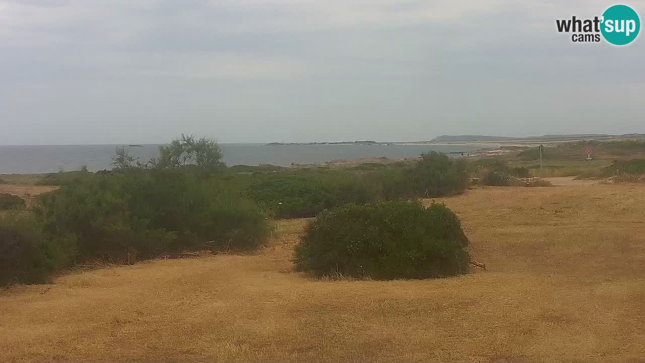 Playa Mari Ermi | Is Arutas – Oristano