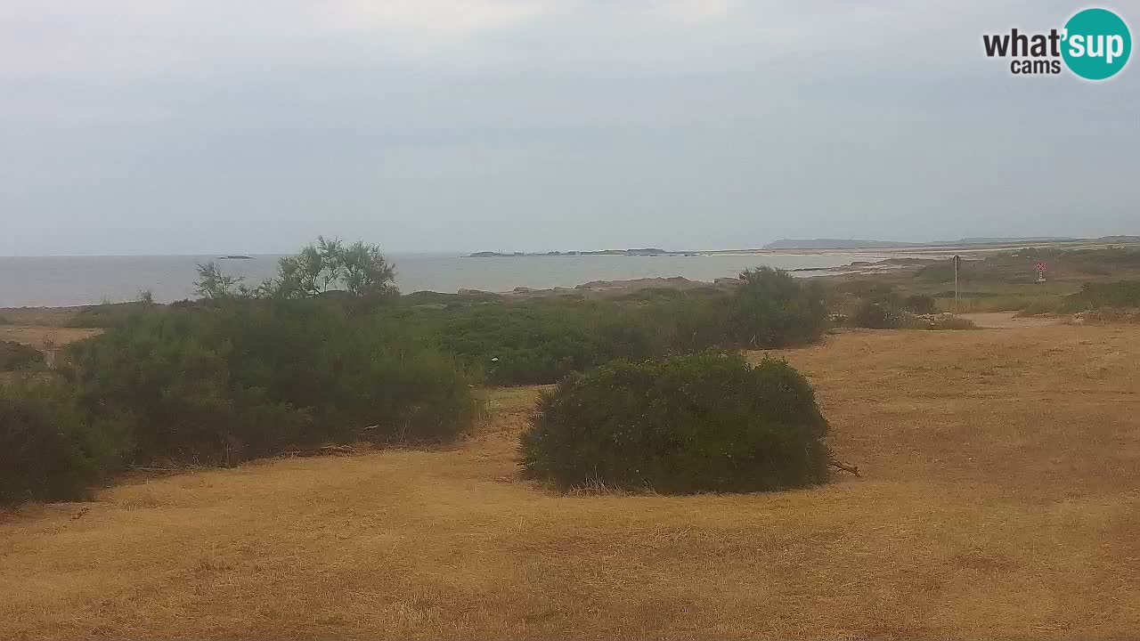 Playa Mari Ermi | Is Arutas – Oristano