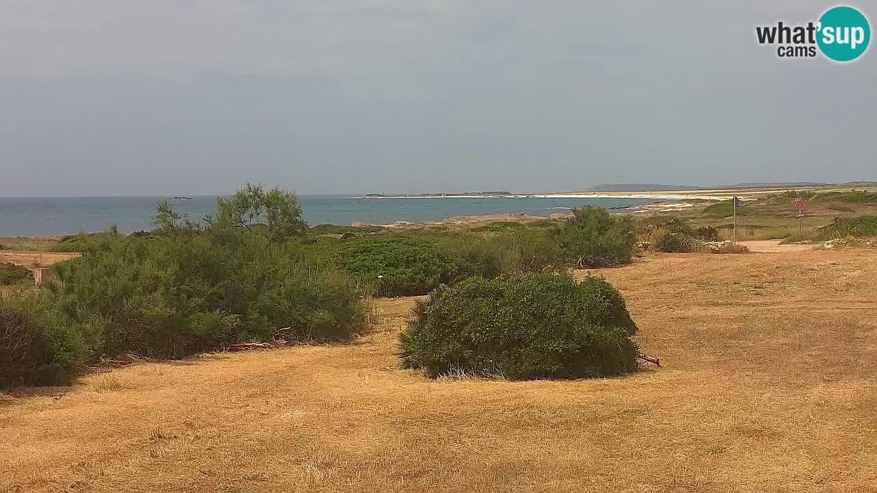Plaža Mari Ermi | Is Arutas – Oristano