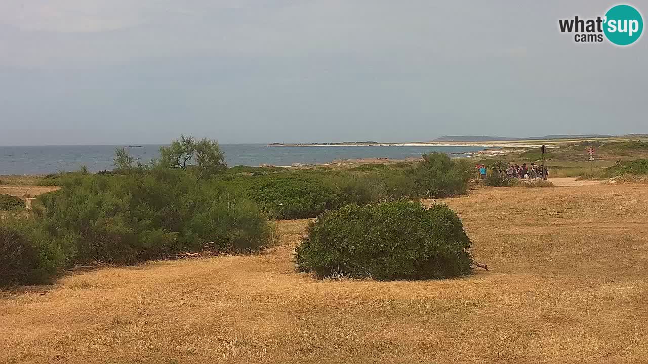 Mari Ermi Strand | Is Arutas – Oristano