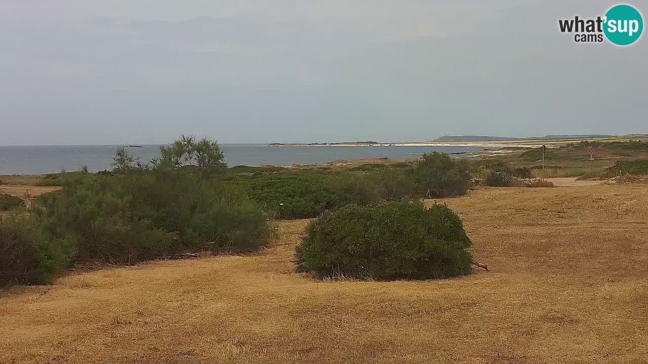 Mari Ermi beach | Is Arutas – Oristano