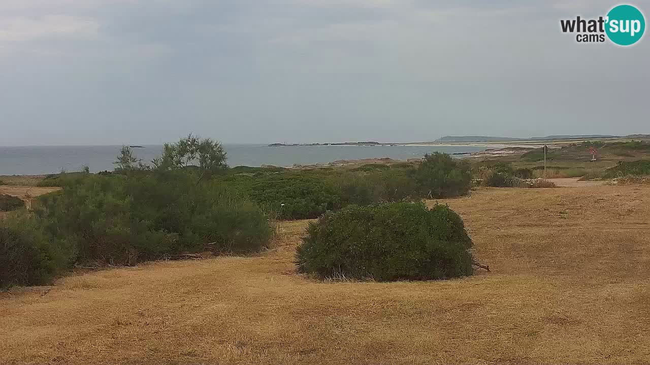 Plage Mari Ermi | Is Arutas – Oristano