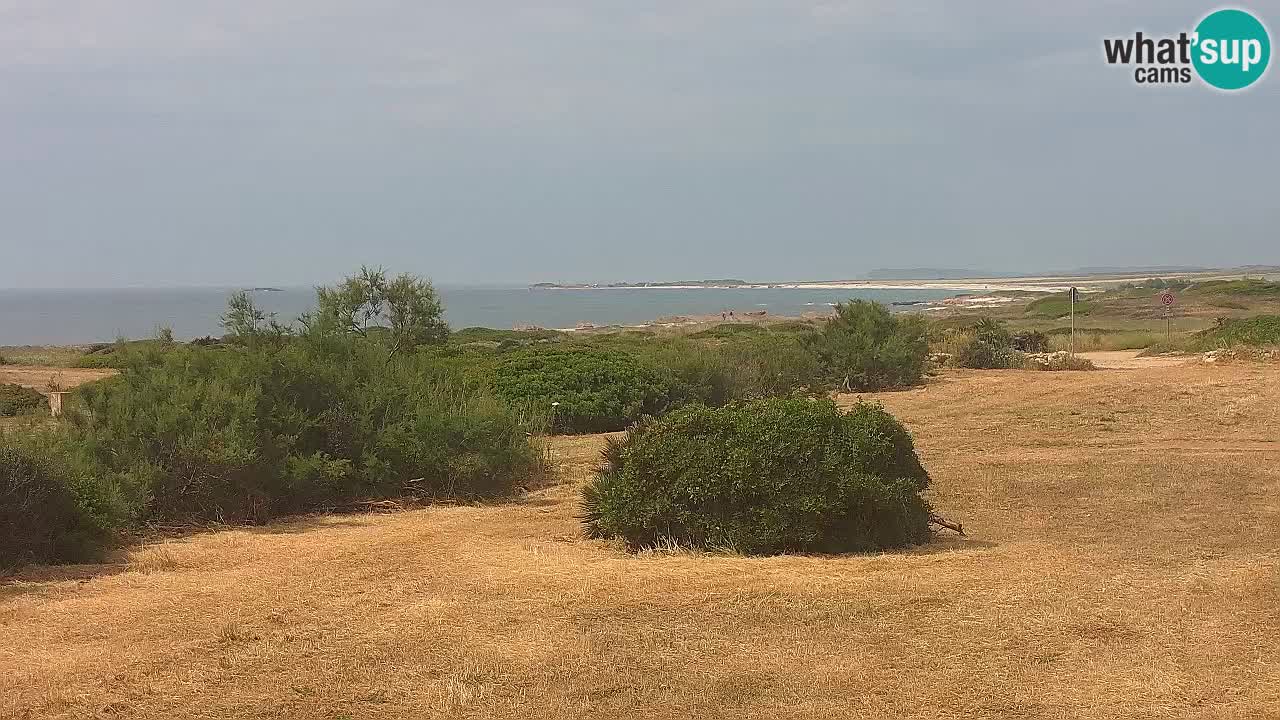 Spiaggia Mari Ermi | Is Arutas – Oristano