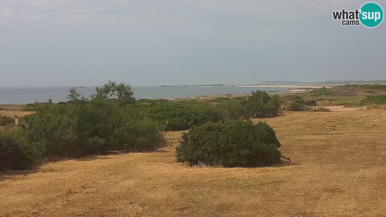 Playa Mari Ermi | Is Arutas – Oristano
