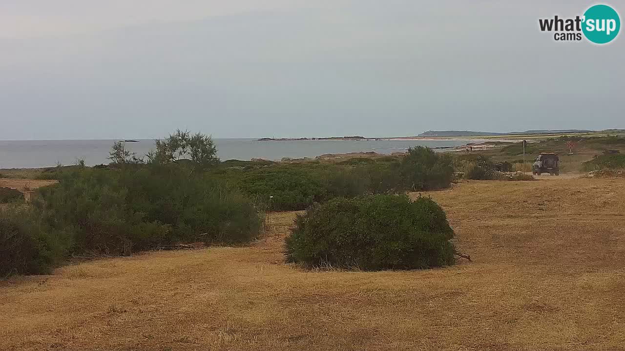 Mari Ermi beach | Is Arutas – Oristano