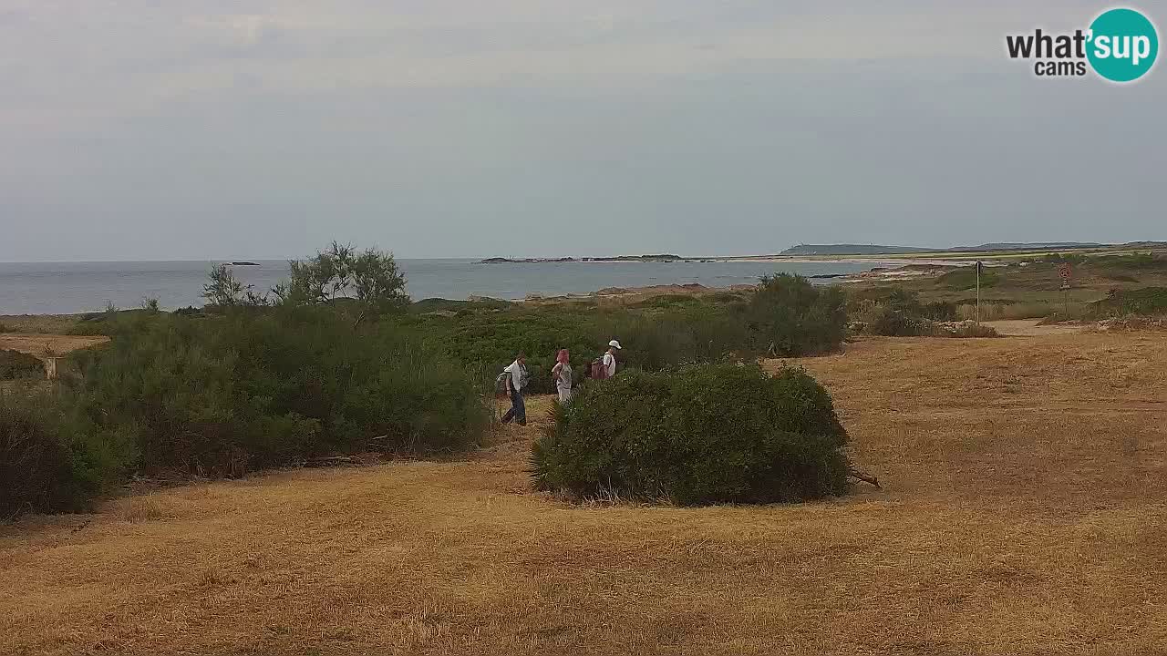 Mari Ermi Strand | Is Arutas – Oristano