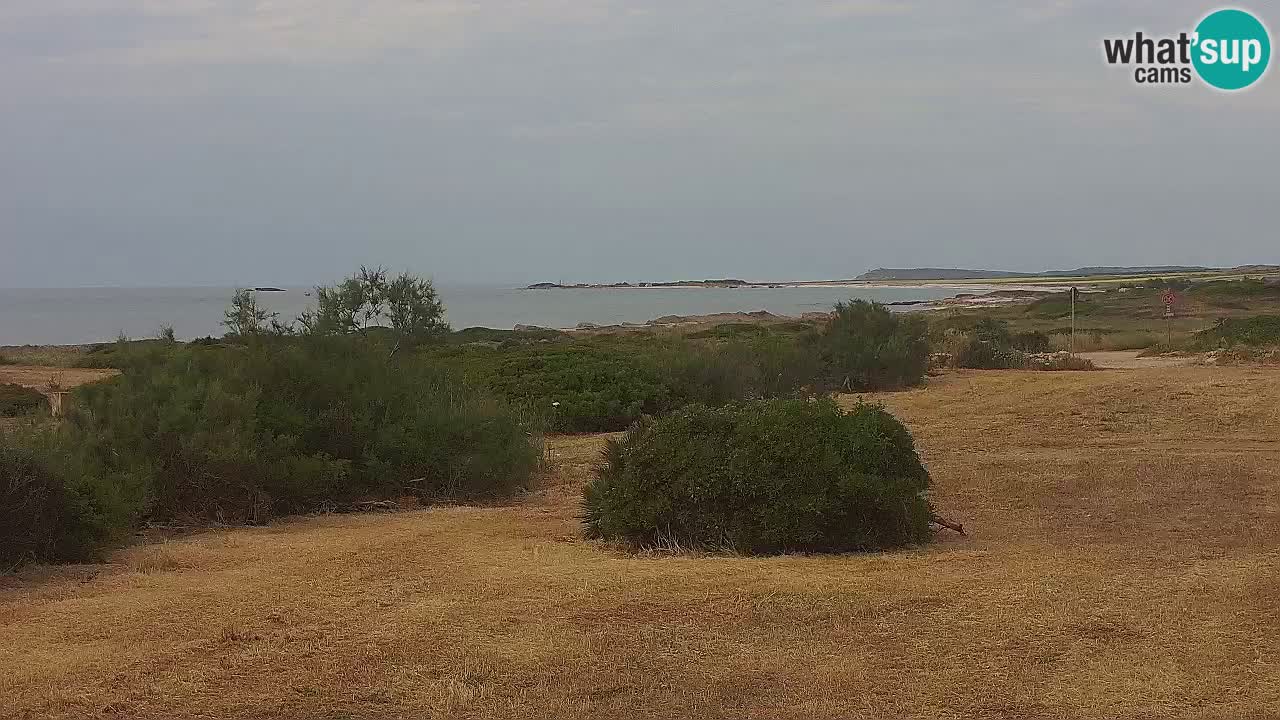 Playa Mari Ermi | Is Arutas – Oristano
