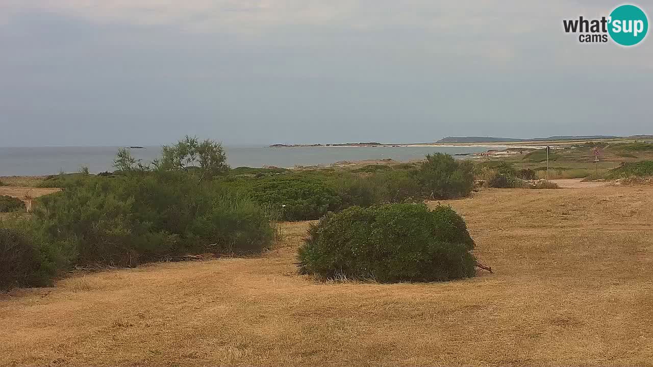 Plaža Mari Ermi | Is Arutas – Oristano