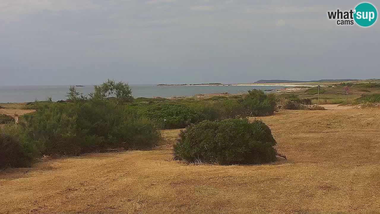 Spiaggia Mari Ermi | Is Arutas – Oristano