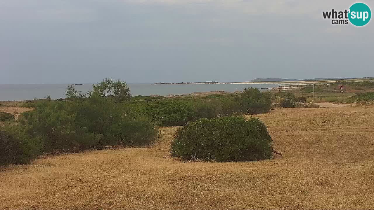Plaža Mari Ermi | Is Arutas – Oristano