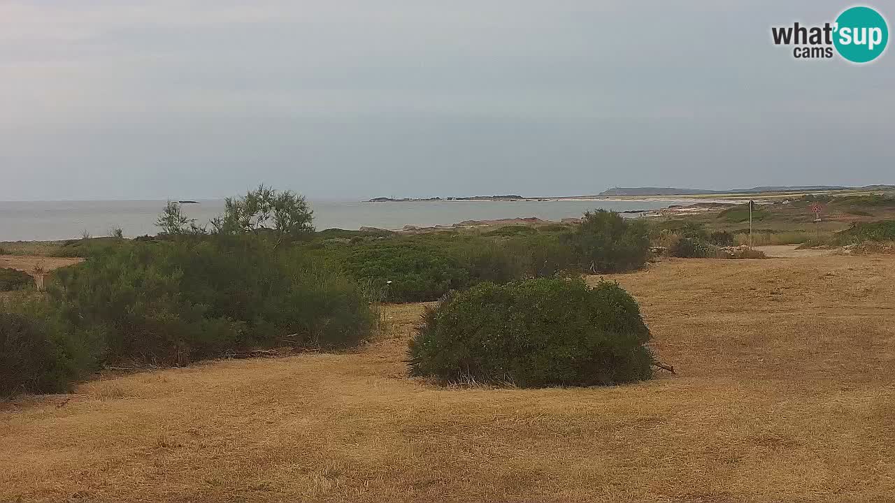 Playa Mari Ermi | Is Arutas – Oristano
