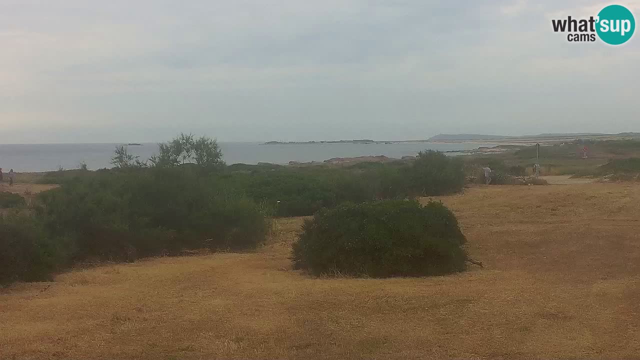Plaža Mari Ermi | Is Arutas – Oristano