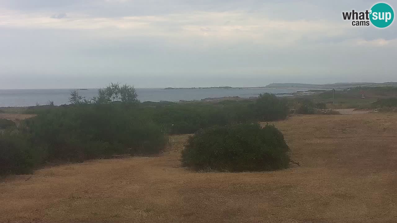 Mari Ermi Strand | Is Arutas – Oristano