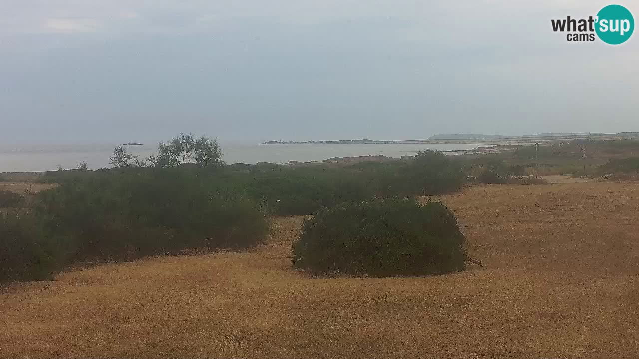Plage Mari Ermi | Is Arutas – Oristano